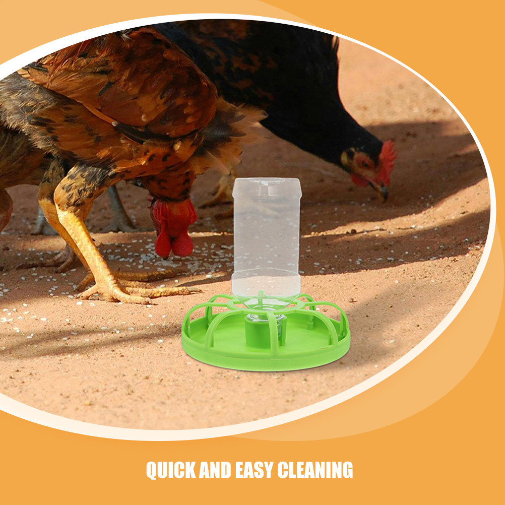 2 Set Tempat Makan Burung Puyu - Feeding Baby Food ulasan dan harga